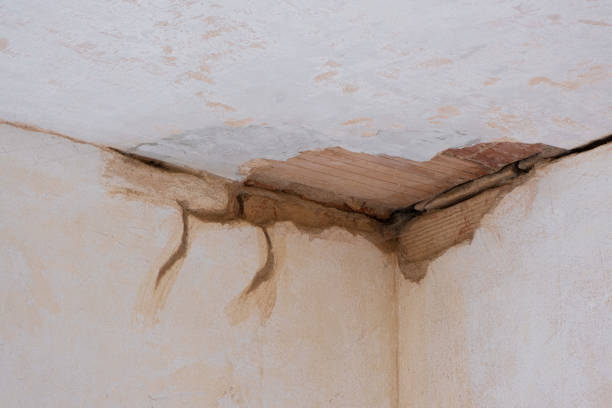 Best Basement water damage restoration  in De Soto, KS